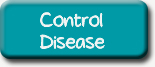 Control Disease